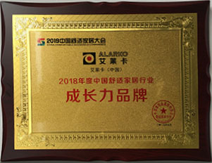 15654133576582.jpg 2019年度中國舒適家居行業(yè)-成長力品牌.jpg